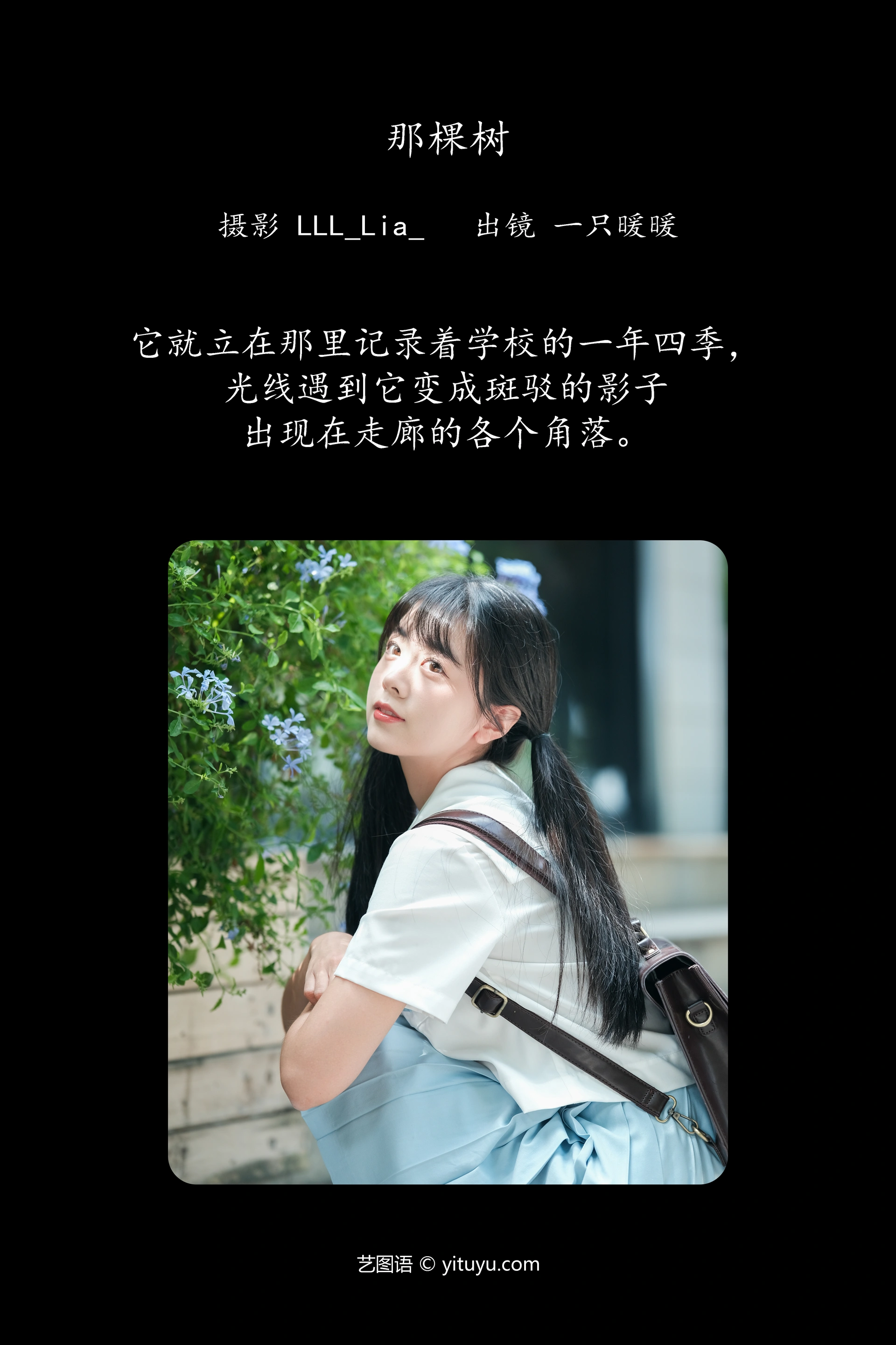 [YITUYU艺图语]2024.12.22 那棵树 一只暖暖 0